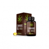 Cannabis oil - PRODUKT PRZECIWKO PASOŻYTOM