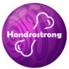 Hondrostrong - stawy