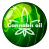 Cannabis Oil - cukrzyca