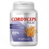 Cordyceps Pulse - nadciśnienie