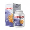 Cordyceps Pulse - stawy